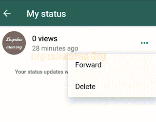 WhatsApp beta 2.19.156 for android might reset your profile name but has improved story status update with added features!