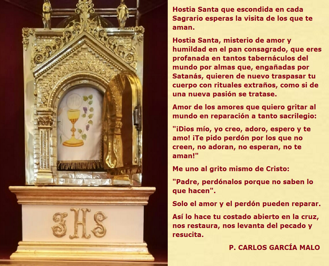 Camino Católico: "¡Dios mío, yo creo, adoro, espero y te amo! ¡Te pido