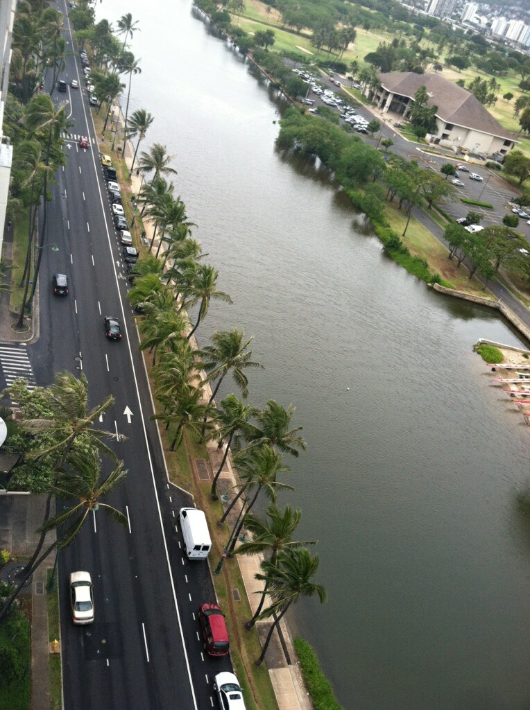 sashas blog Ala Wai Canal!