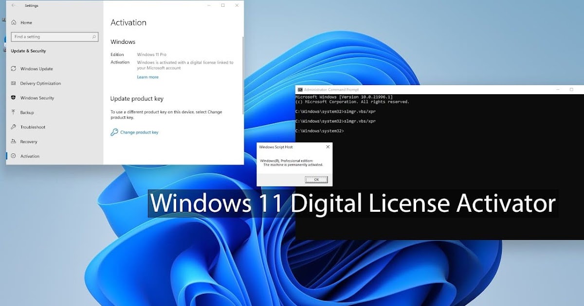 windows 11 digital license