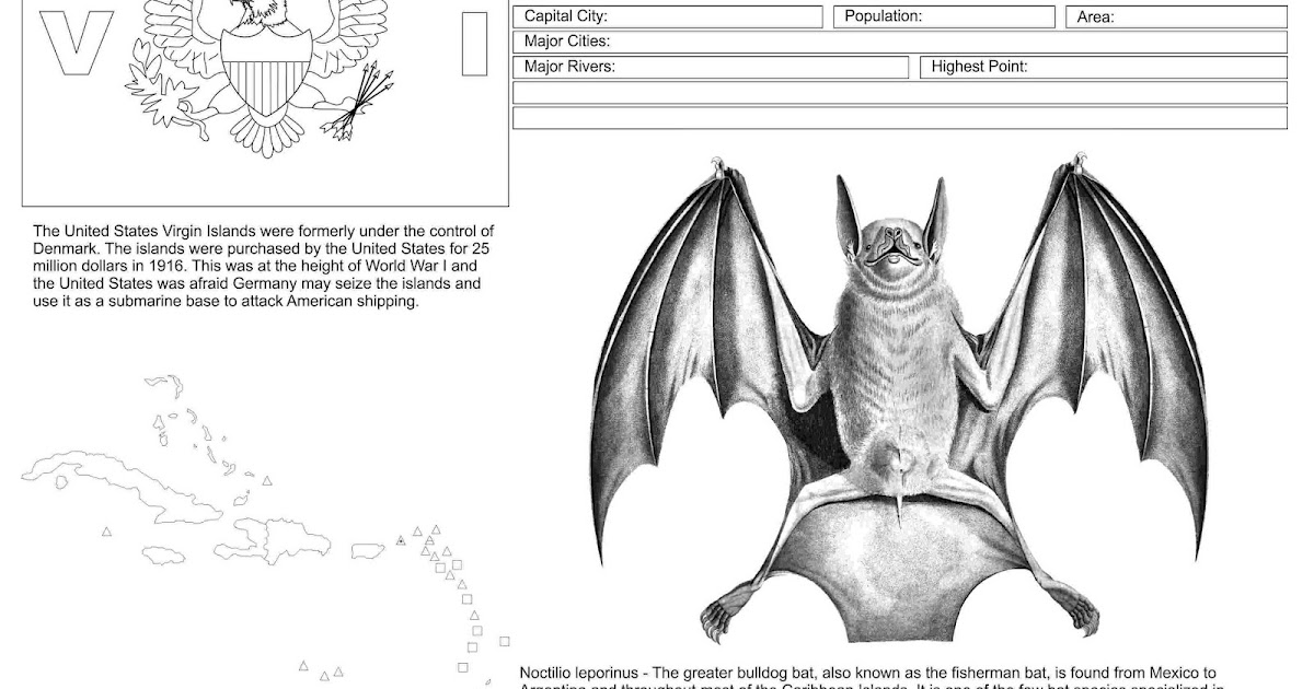 The Nations of the World Greater Bulldog Bat United States Virgin