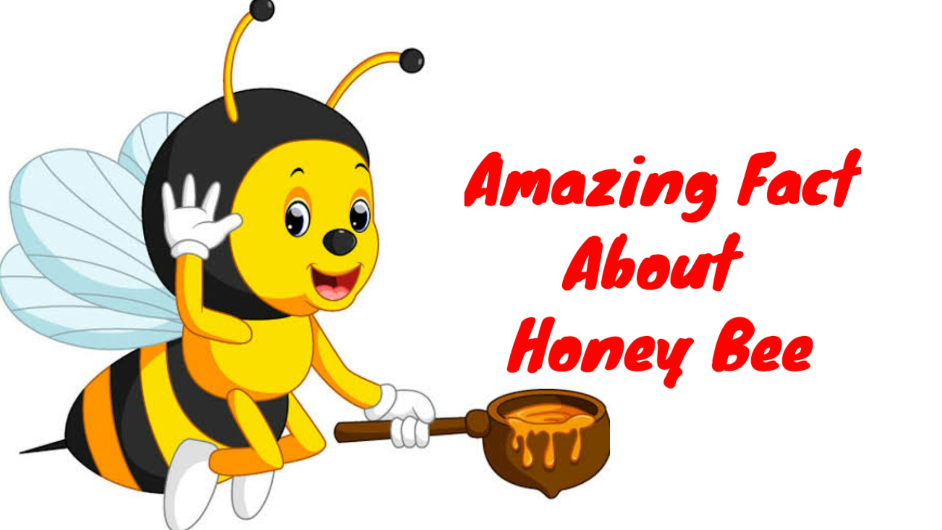 30 More Amazing Fact About Honey Bee In Hindi  30-more-amazing-fact-about-honey-bee-in-hindi