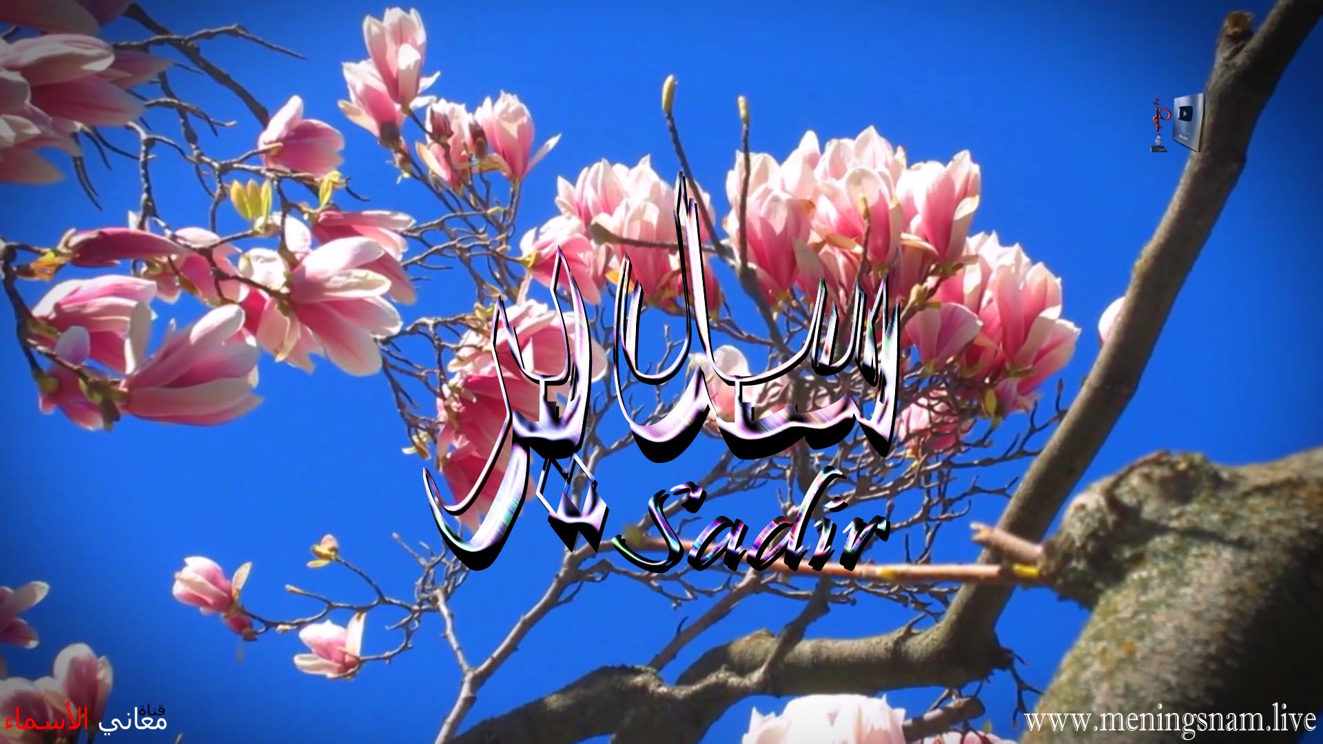 تصميم اسم سنان مع معنى اسم يوتيوب