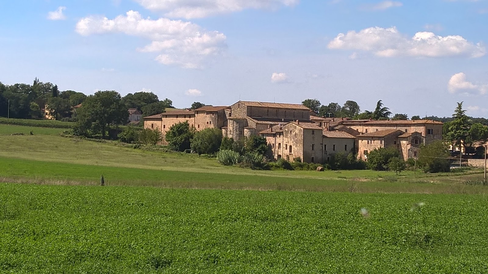Punteggiature... MAESTRO DI BADIA ISOLA MADONNA IN TRONO CON IL BAMBINO