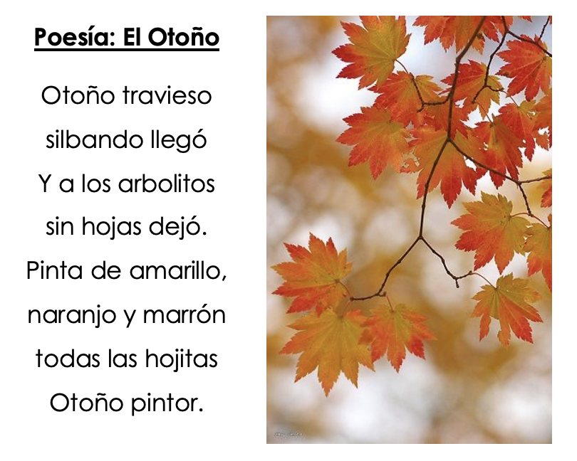 Desafío 1: Aprender esta poesía /Desafío 2: buscar hojas de otoño y guardarlas en un libro