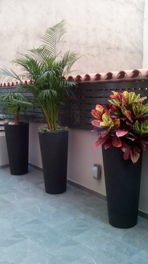 El patio de mi casa | Decoración