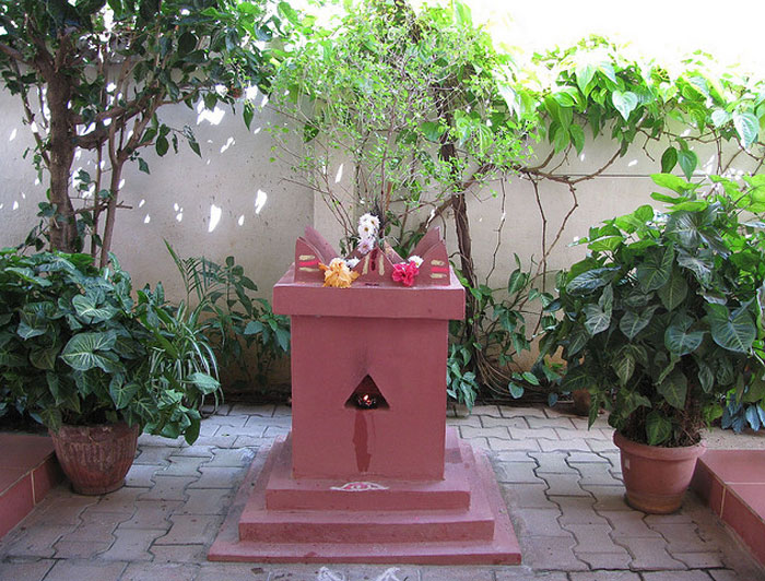 Vedas Beyond Science Why Hindu Should Have A Tulsi Plant In Their House vedas-beyond-science-why-hindu-should-have-a-tulsi-plant-in-their-house