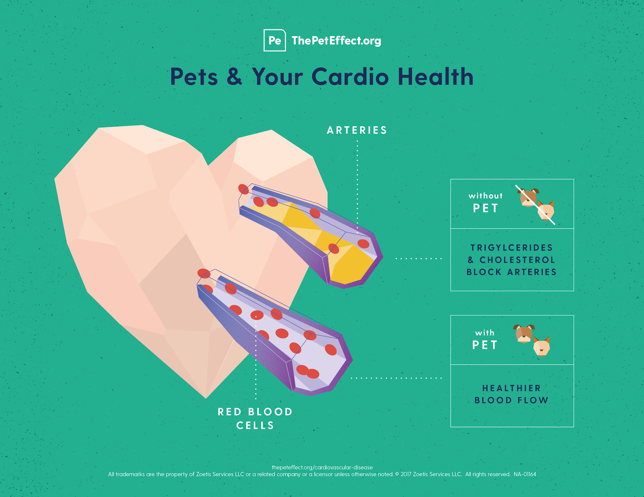 Pets and Your Cardio Health by Human Animal Bond Research Institute and