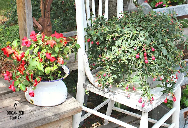 Free Garden Junk Up-cycling Projects #enamelware #spittoon #gardenjunk #vintage #farmhouse #stencil #oldsignstencils #impatiens #containergarden #farmhousestyle