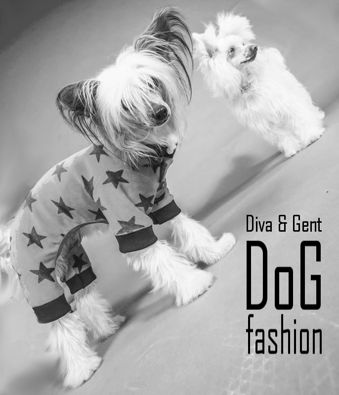 Diva und Gent Dogfashion