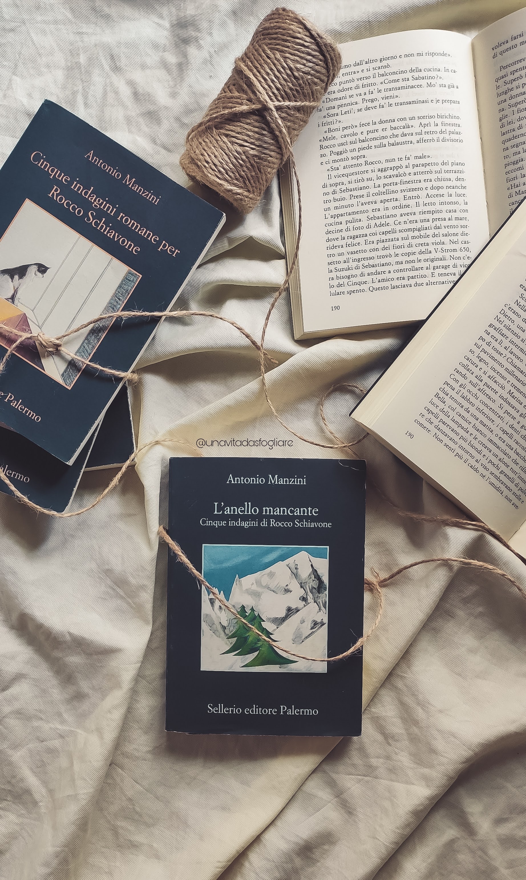 RECENSIONE L'ANELLO MANCANTE. CINQUE INDAGINI PER ROCCO SCHIAVONE Una vita da sfogliare RECENSIONE L'ANELLO MANCANTE. CINQUE INDAGINI PER ROCCO SCHIAVONE Una vita da sfogliare