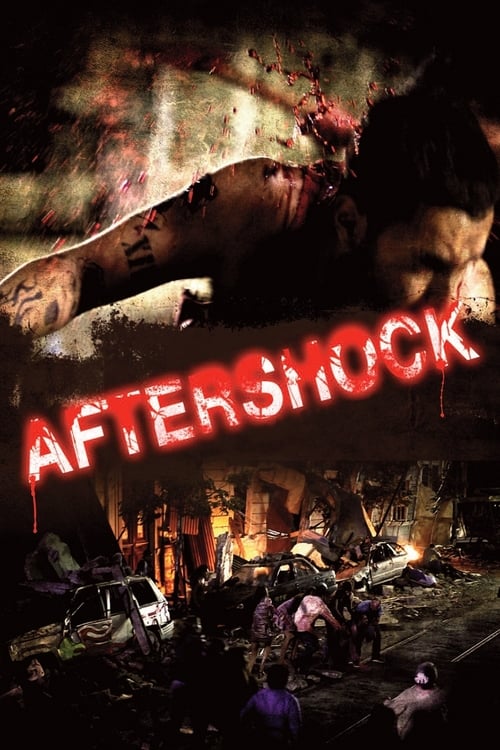 [HD] Aftershock 2012 Film Kostenlos Ansehen