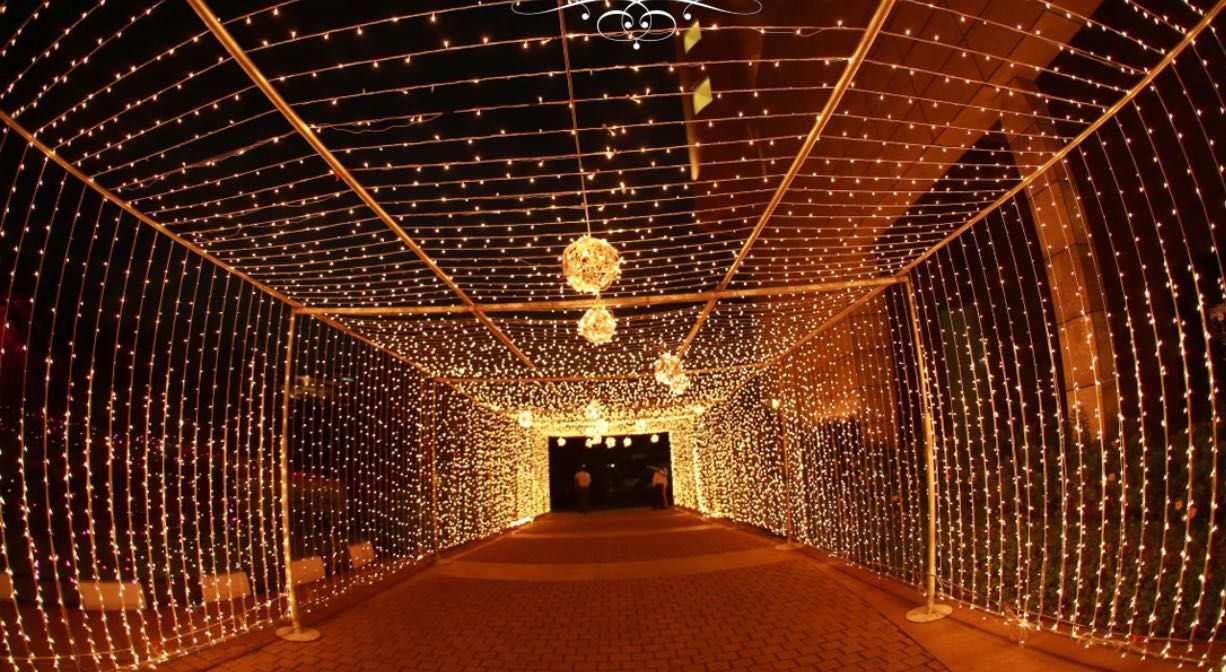 Mirchi Tunnel (Strip Lights) Entry Kerala Wedding Kerala Wedding