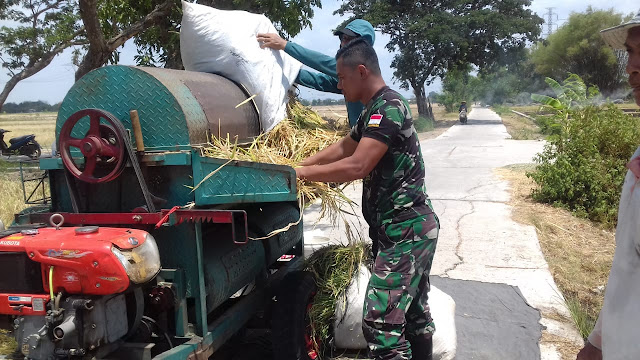 Wujudkan Ketahanan pangan Babinsa Koramil 23 Ceper Berikan Pendampingan Khusus Kepada Petani