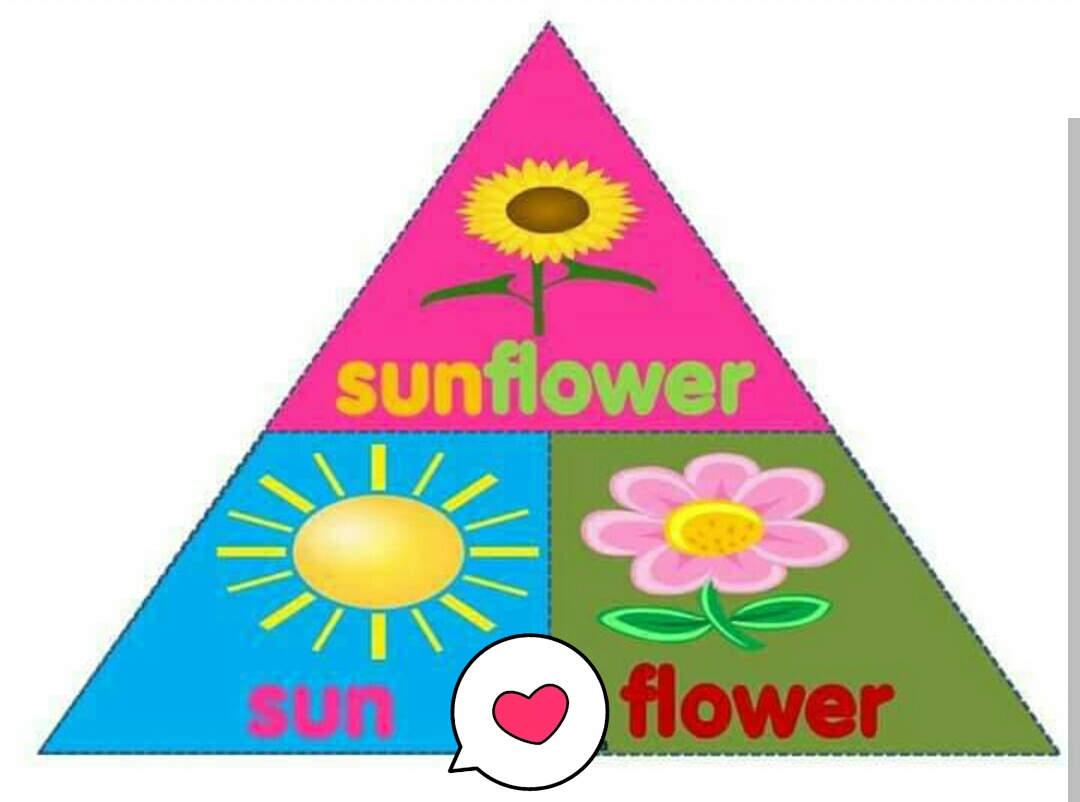 Punishka Tutorials What are Compound Words/ Nouns?