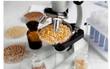 what is the difference between food science and nutrition and food science and technology
