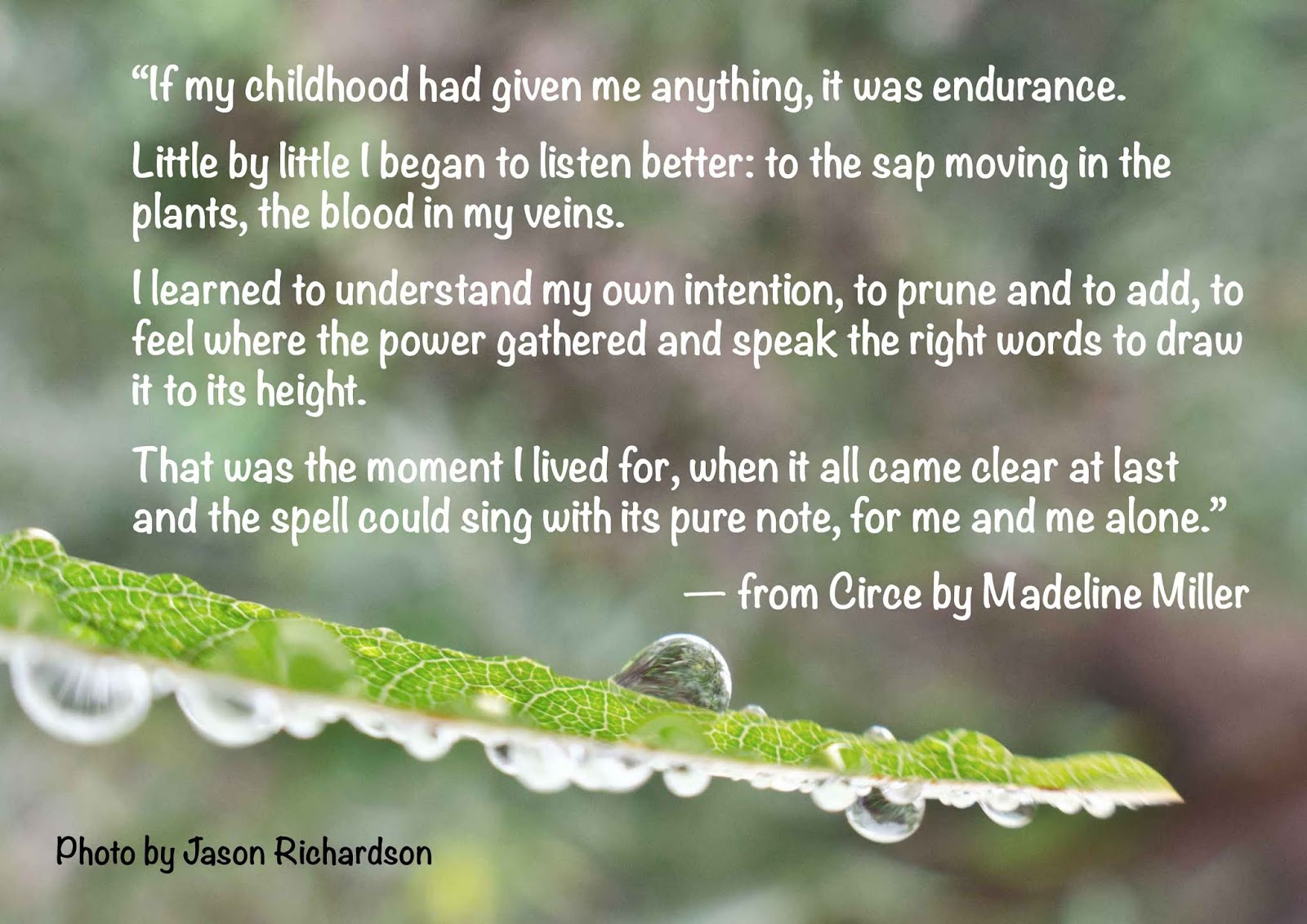 A Meta Metal Meme Metalmemes