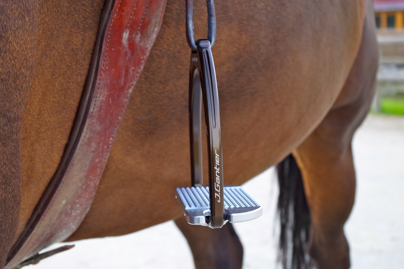 Étriers De Course Trophée En Aluminium – Tonneau Argent/Or Concho – NEUF