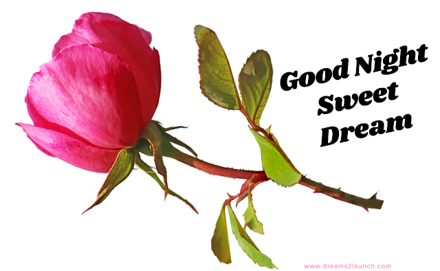 good night rose good night rose
