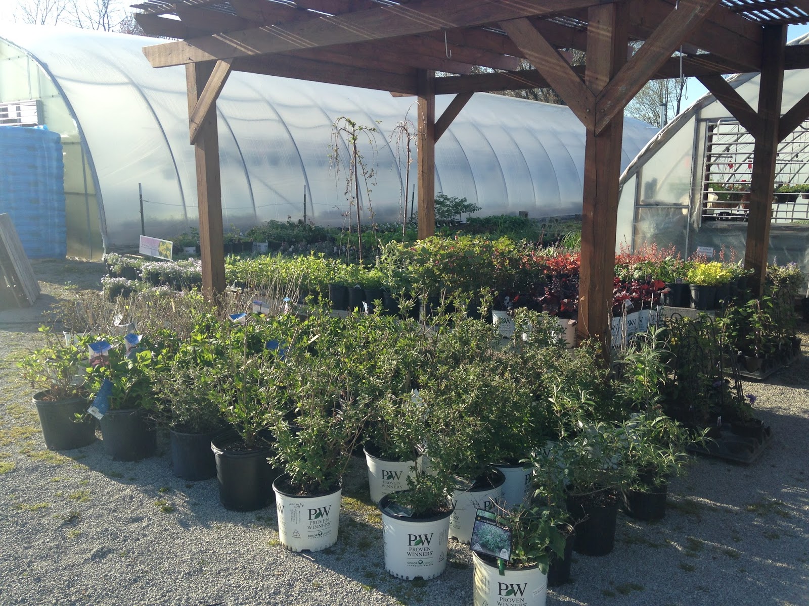 Sunnyside Greenhouses Greenfield, IN 2016