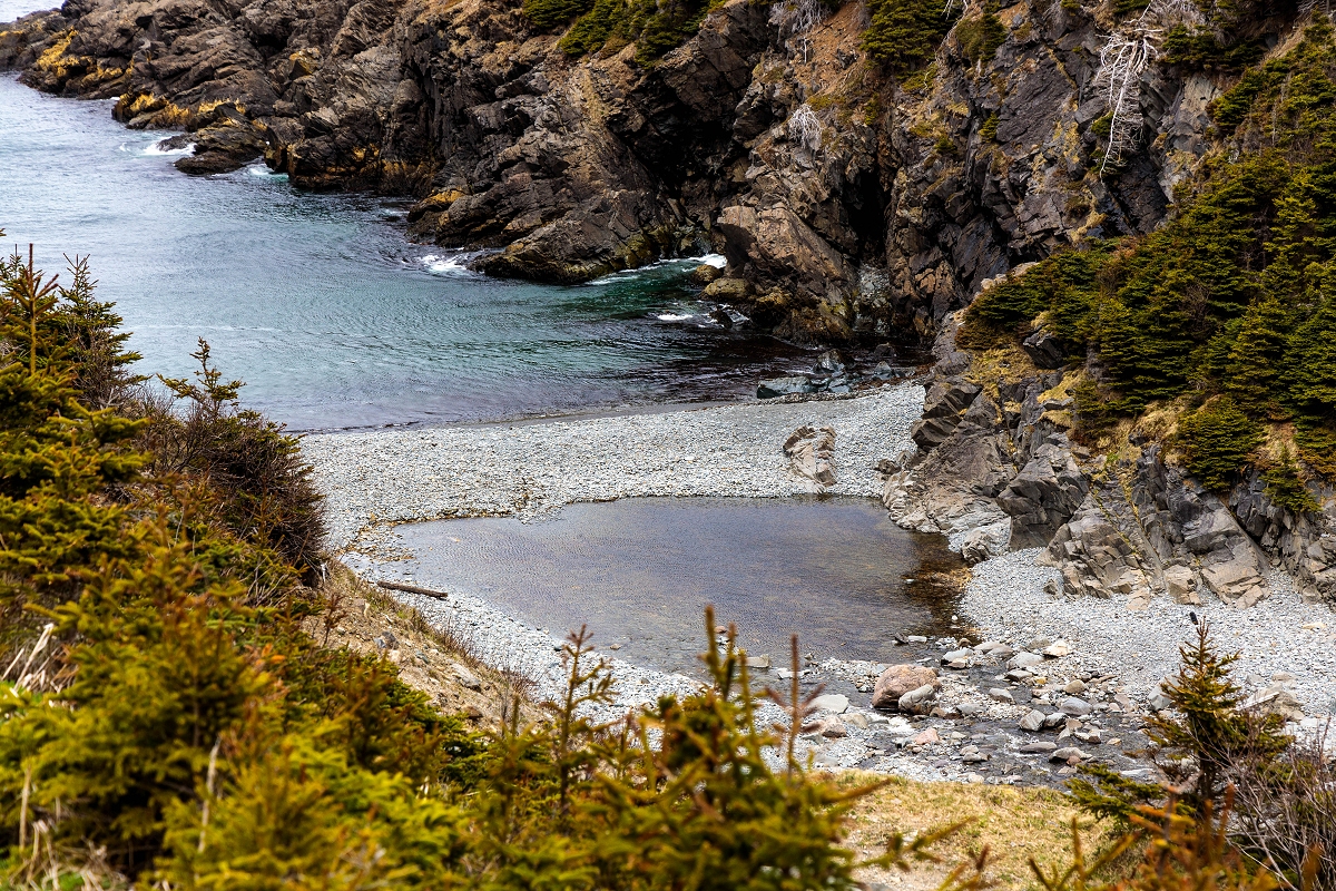 Bitstop Shoe Cove, East Coast Trail