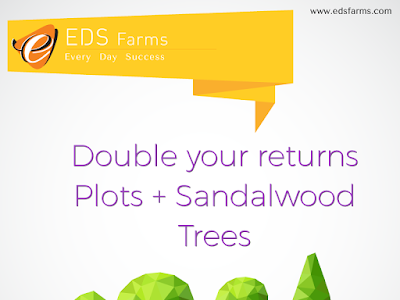 [新しいコレクション] sandalwood plant png 699015-Sandalwood plant scientific name