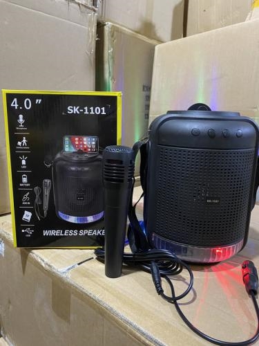 Loa karaoke mẫu mới nhất 2021 SK1101 âm thanh cực hay tặng kèm mic hát