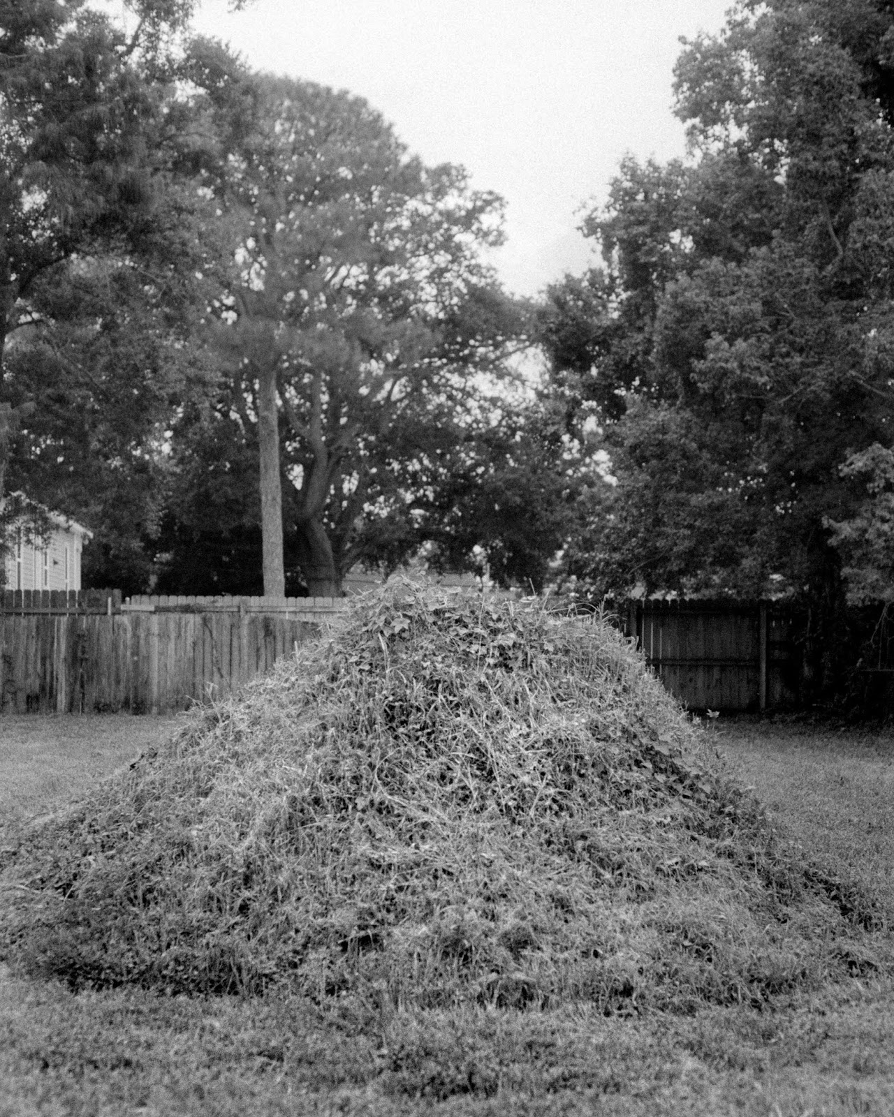 brennanprobst.com: Spotlight: Nikon FG