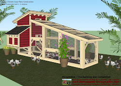 chicken coop build