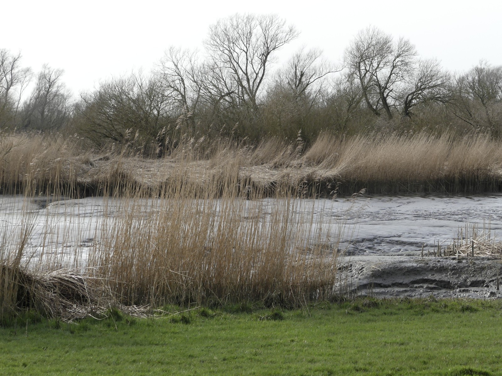Fotografie.... In der Haseldorfer Marsch