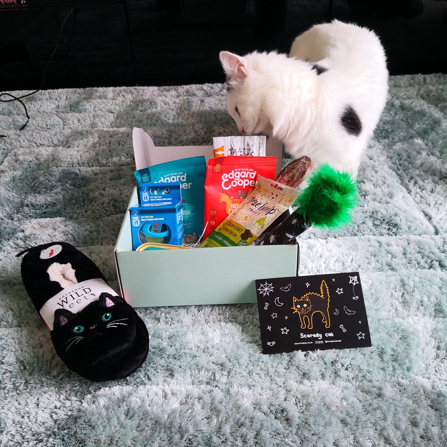 Cat Subscription Box Gus and Bella Review Alice In Sheffield
