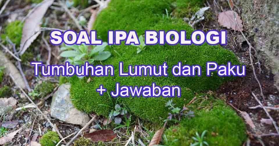 Soal Soal Biologi Materi Kingdom Plantae Beserta Pembahasannya