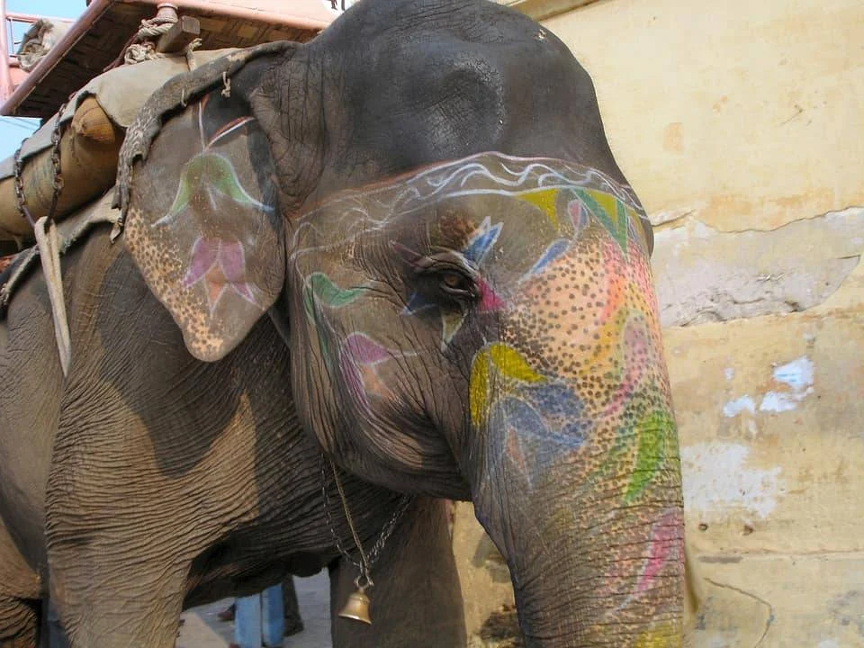 Der wilde Elefant – Allegorie – Buddhismus