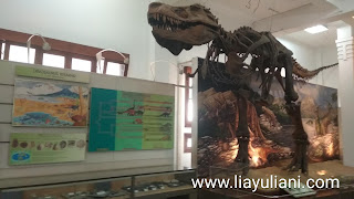 Fosil Trex di Museum Geologi