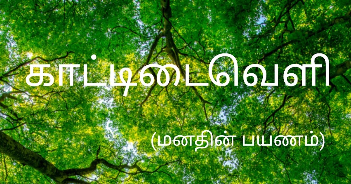 Kaattidaiveli - The Glade