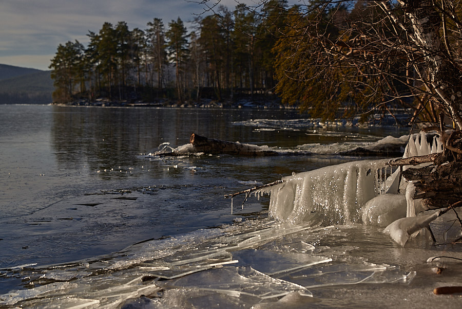 Озеро еловое зимой