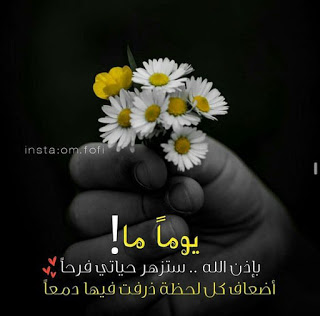 صورجميلة احلى صور جديدة