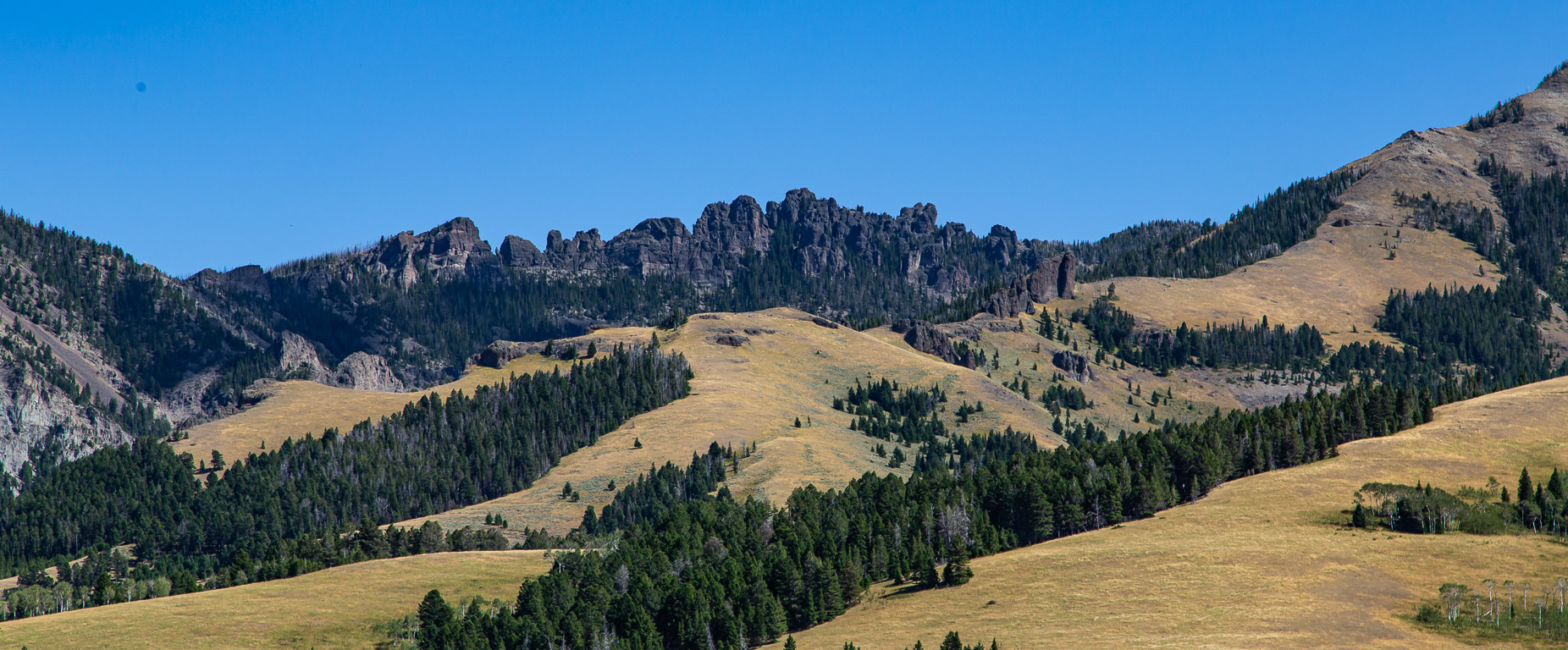 Art's Work Tom Miner Basin 2020