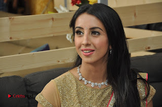 Actress Sanjjanaa Galrani Pictures in Saree at Durian Showroom Inaugration  0029