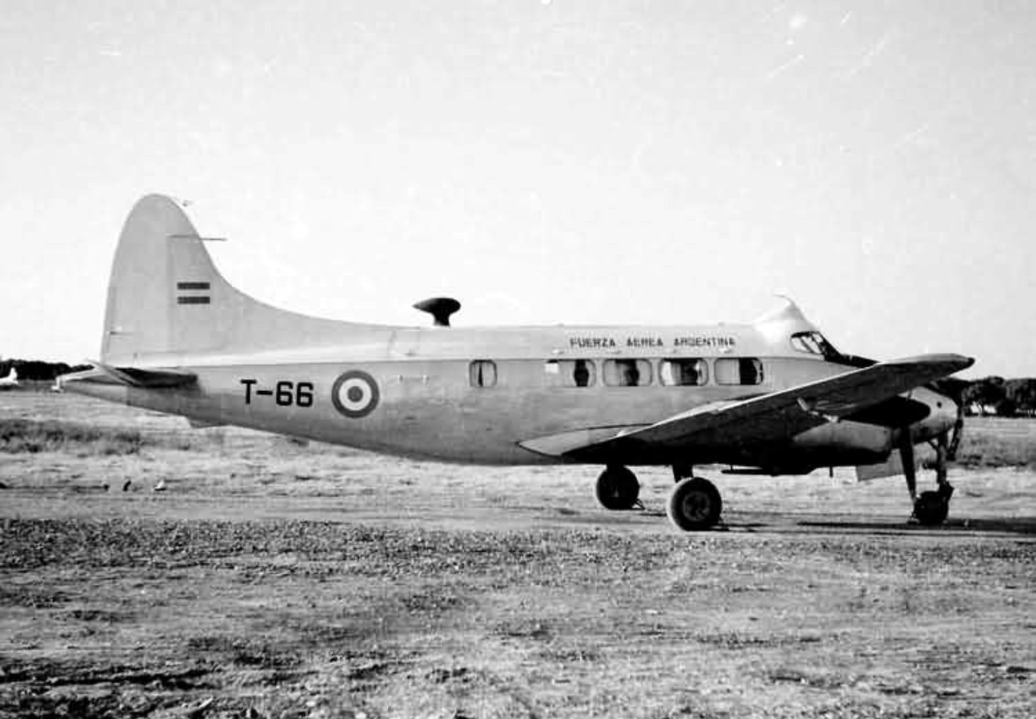 T-66+1.jpg