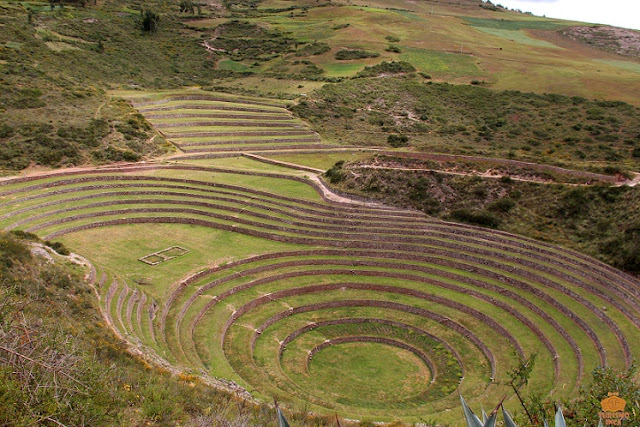 Moray Cuzco