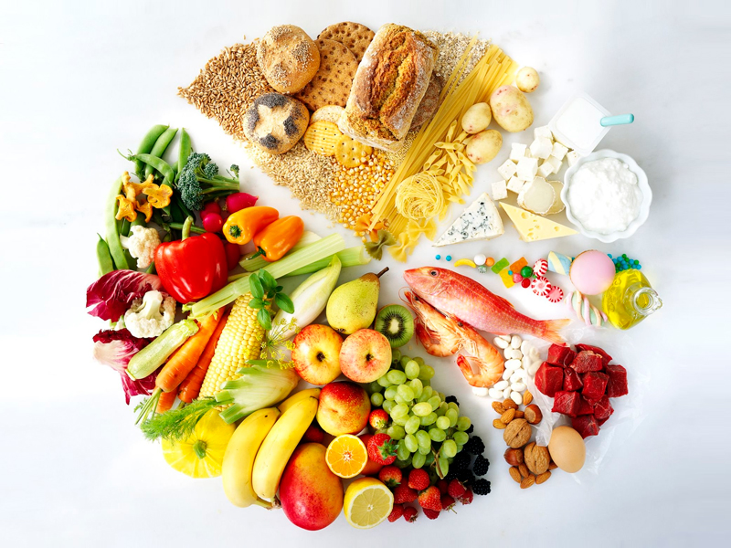 nutrición alimentaria familiar