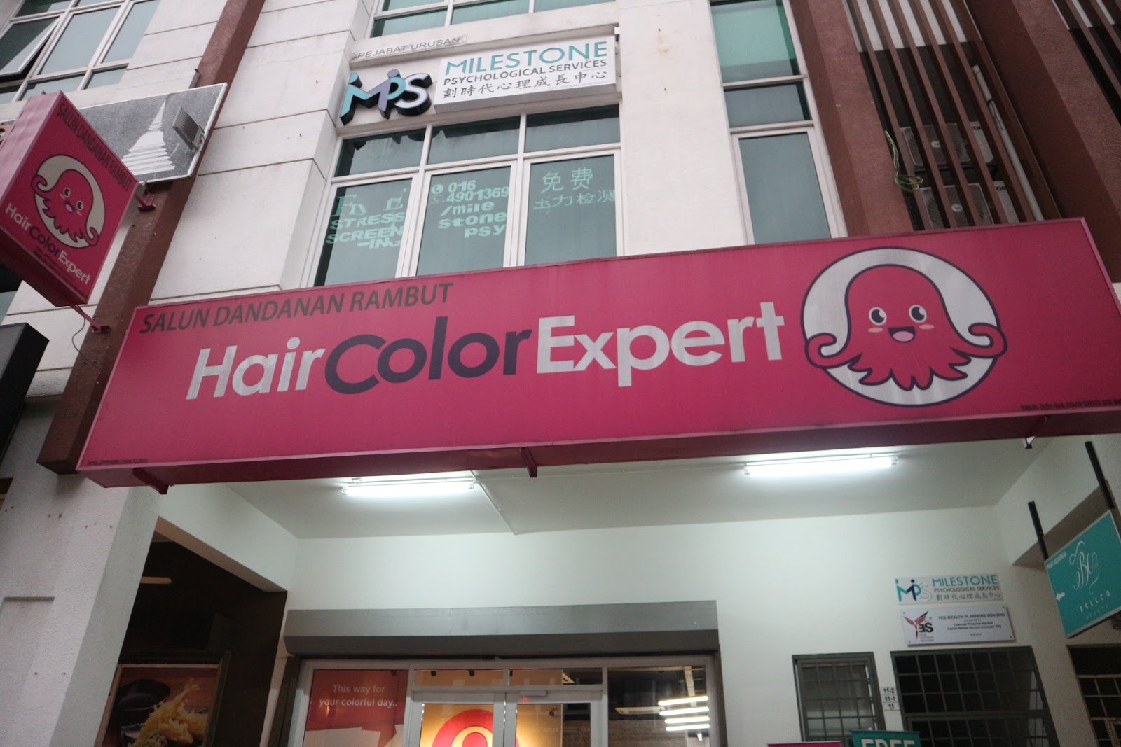 Dreamer Change Your Hair With Hair Color Expert