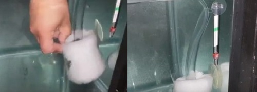 Test sponge filter in aquarium