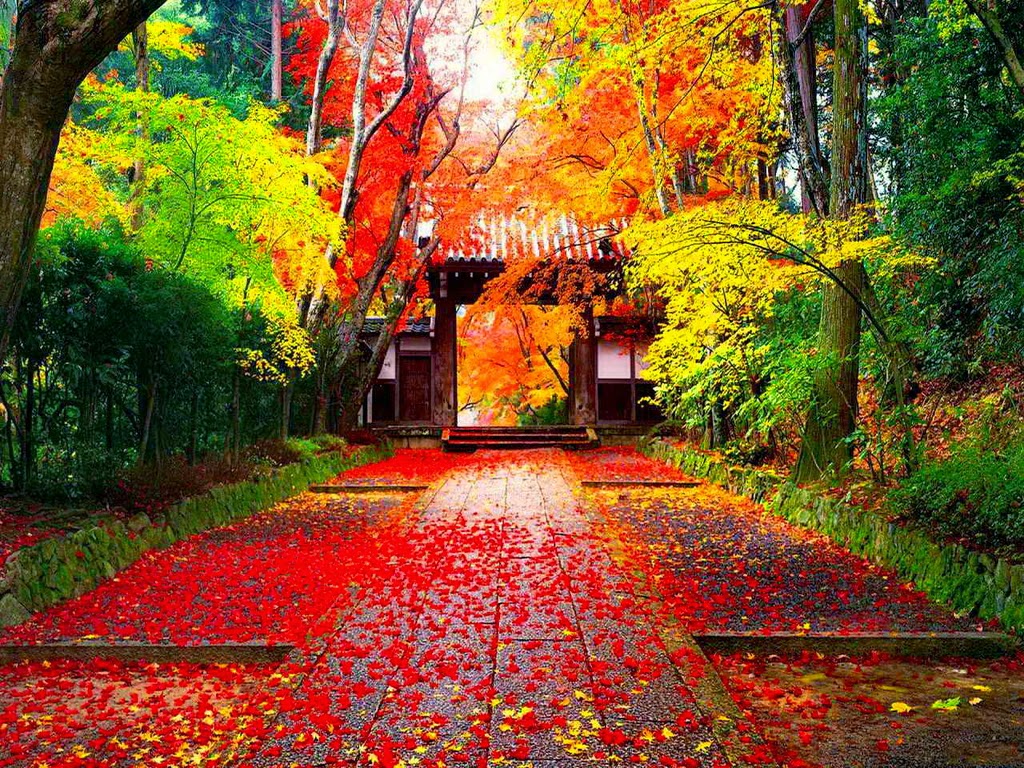 Yusuke Japan Blog Autumn In Japan Is The Most Beautiful Season yusuke-japan-blog-autumn-in-japan-is-the-most-beautiful-season