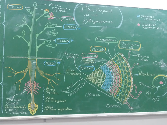 BIOLOGY. ACTIVE LEARNING