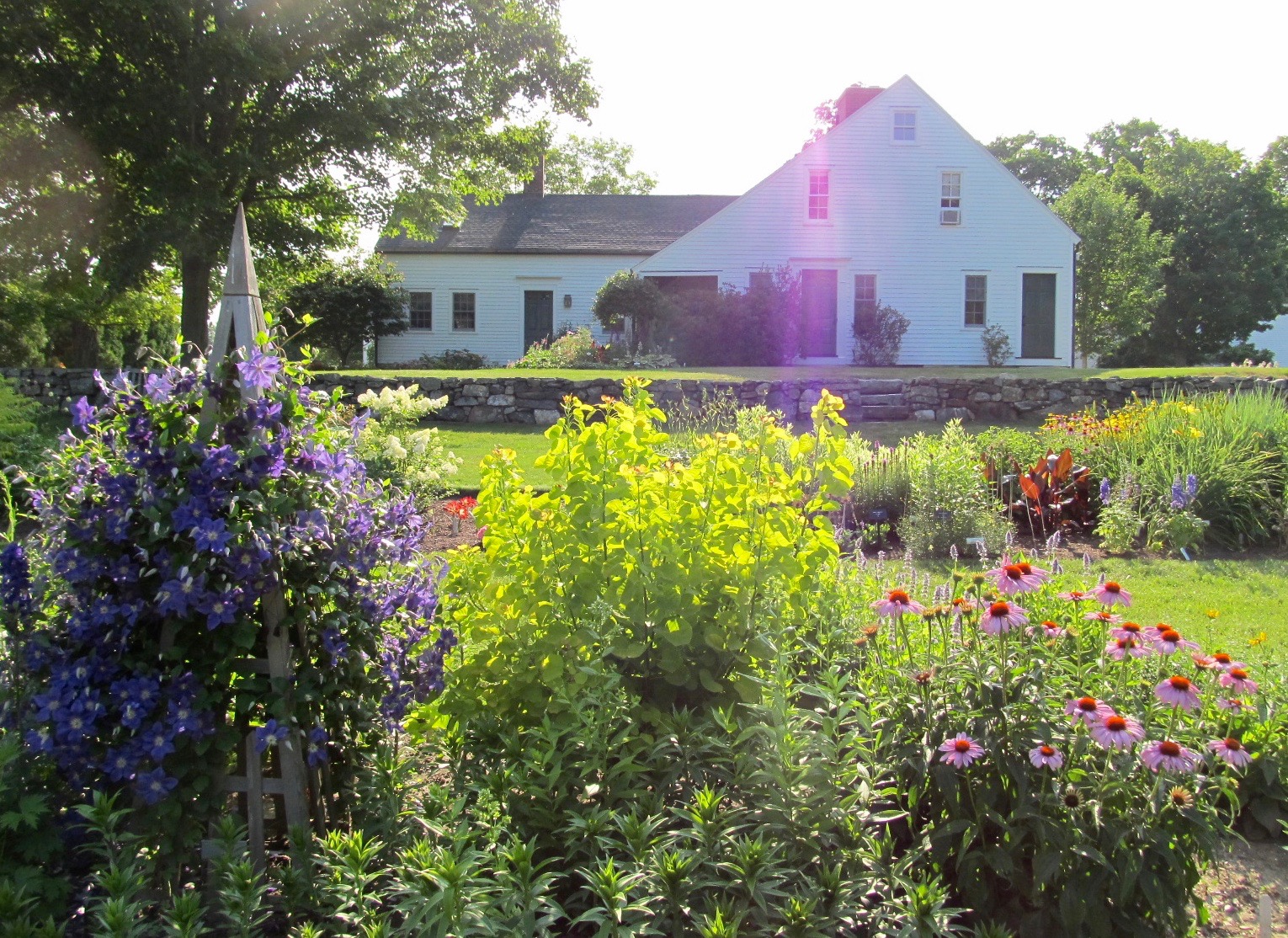asketchadayConnecticutRamblings GLORIOUS WHITE FLOWER FARM