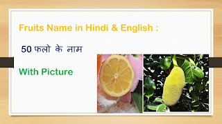 Fruits Name in Hindi & English : 50 फलो के नाम