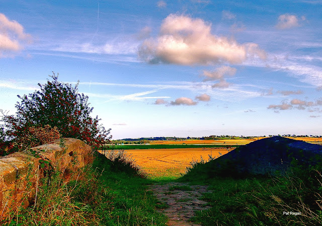 canal%2Bbridge%2Bhalsall