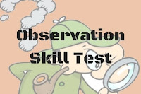 Fun Puzzles to Test Your Observation Skills